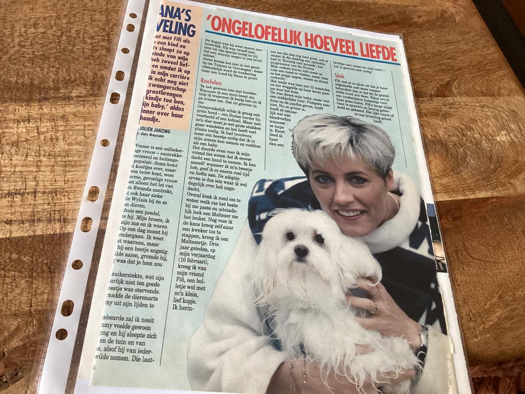 Knipsels DANA WINNER ✂️🗞️📰🎶, Verzamelen, Ophalen of Verzenden, Knipsel(s)