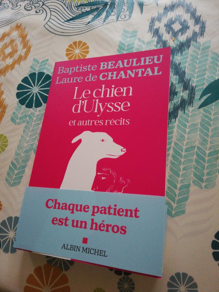 Baptiste Beaulieu  L. de Chantal. Le chien d'Ulysse..., Enlèvement ou Envoi