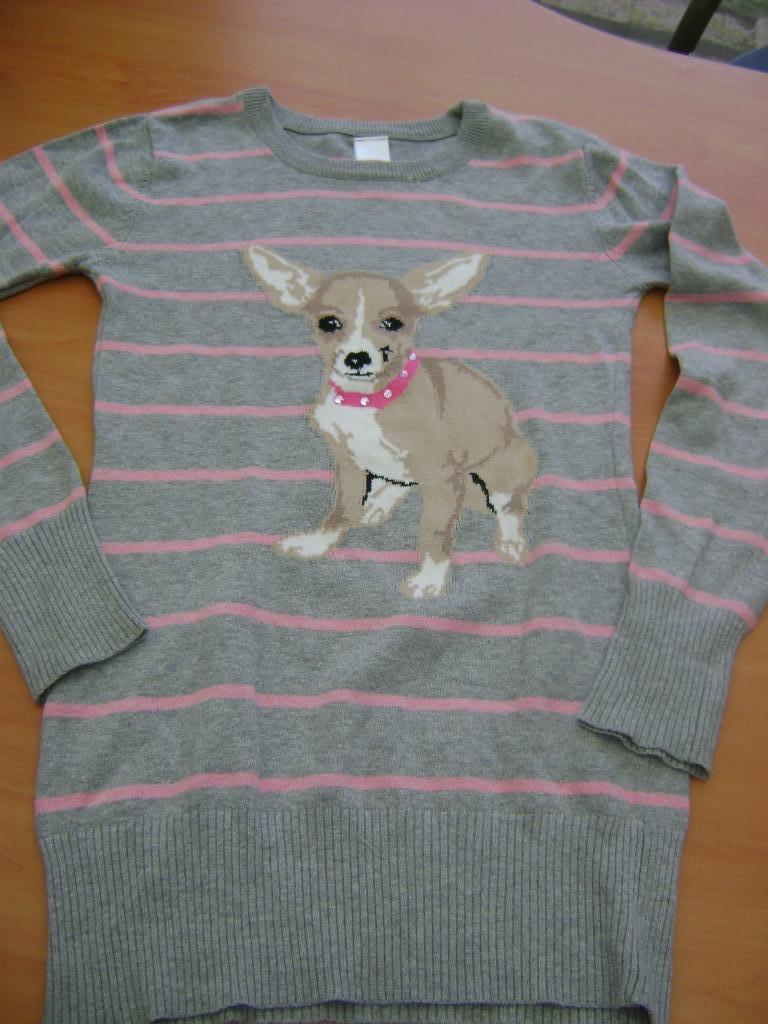 pull gris avec chihuahua et gilet gris en taille 146-152, Enlèvement ou Envoi, Comme neuf, Fille, Pull ou Veste