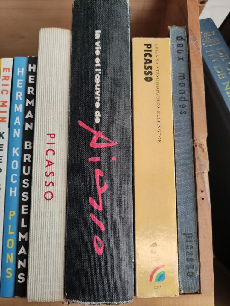 PABLO PICASSO, Boeken, Ophalen of Verzenden