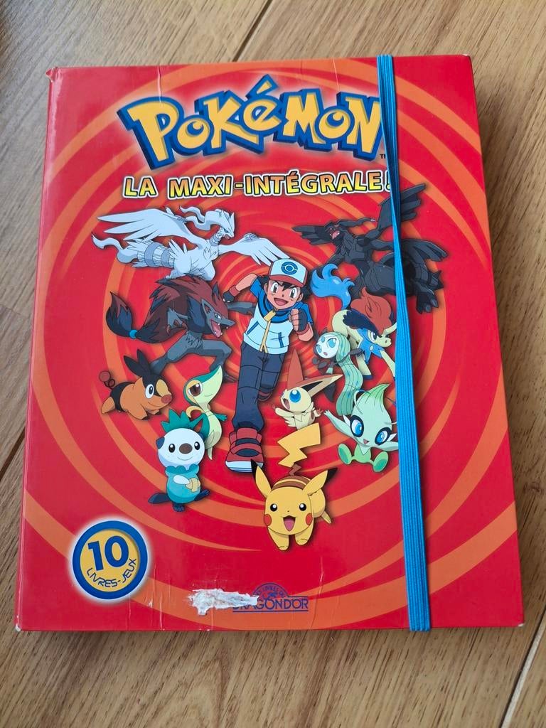 Pokémon La Maxi Intégrale !, Livres, Enlèvement ou Envoi