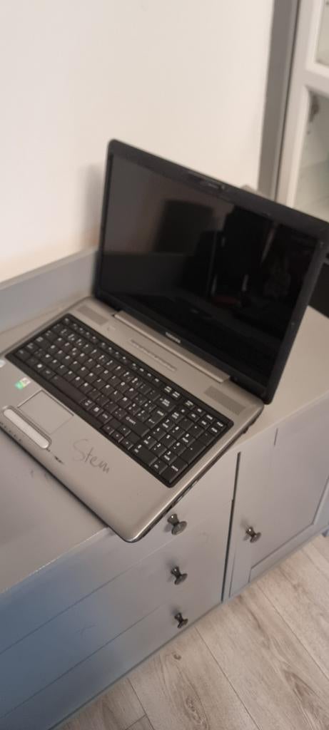Toshiba Satellite Pro P300, Ophalen
