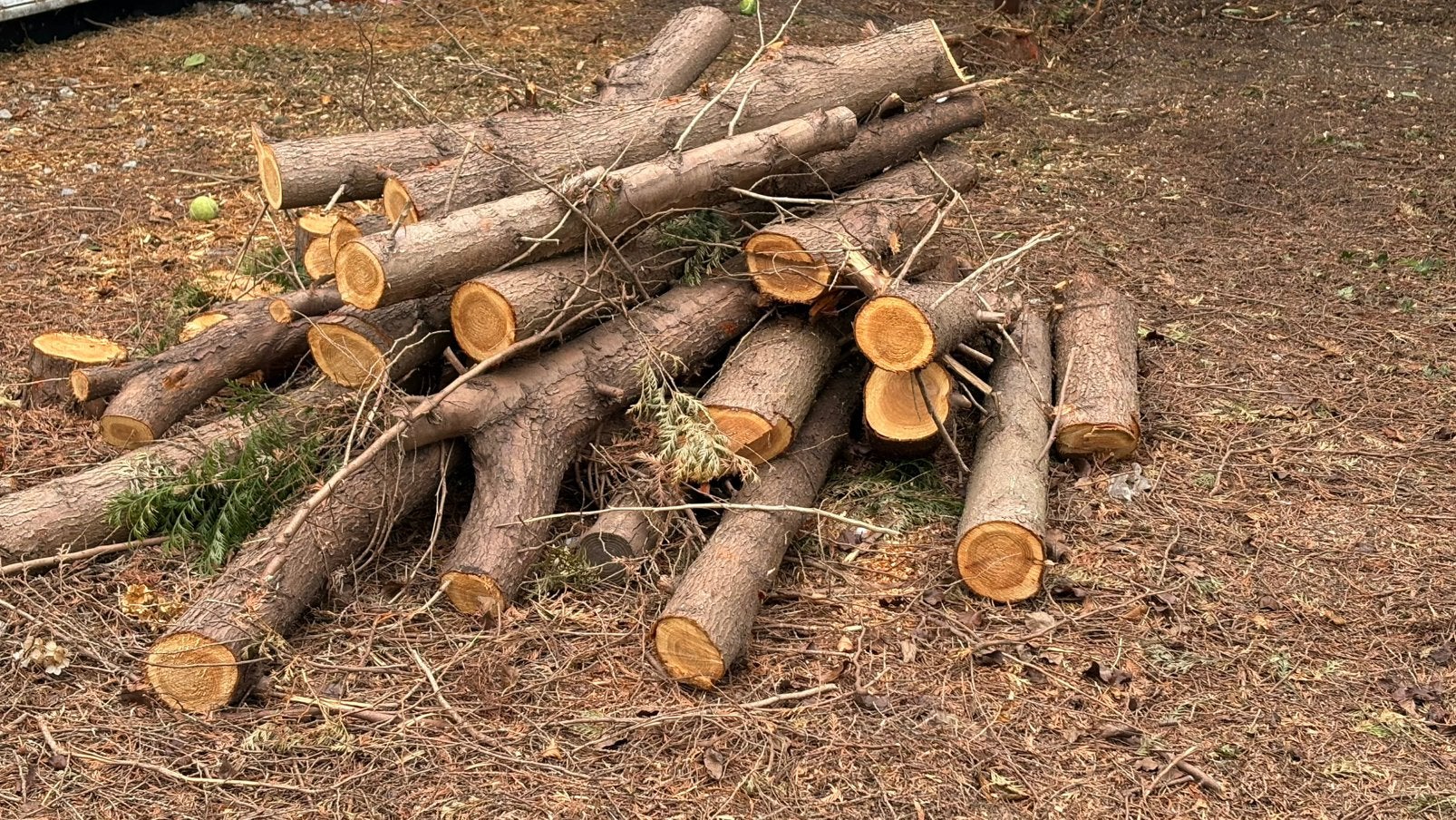Bois à DONNER, 3 tot 6 m³, Ophalen, Overige houtsoorten, Stammen