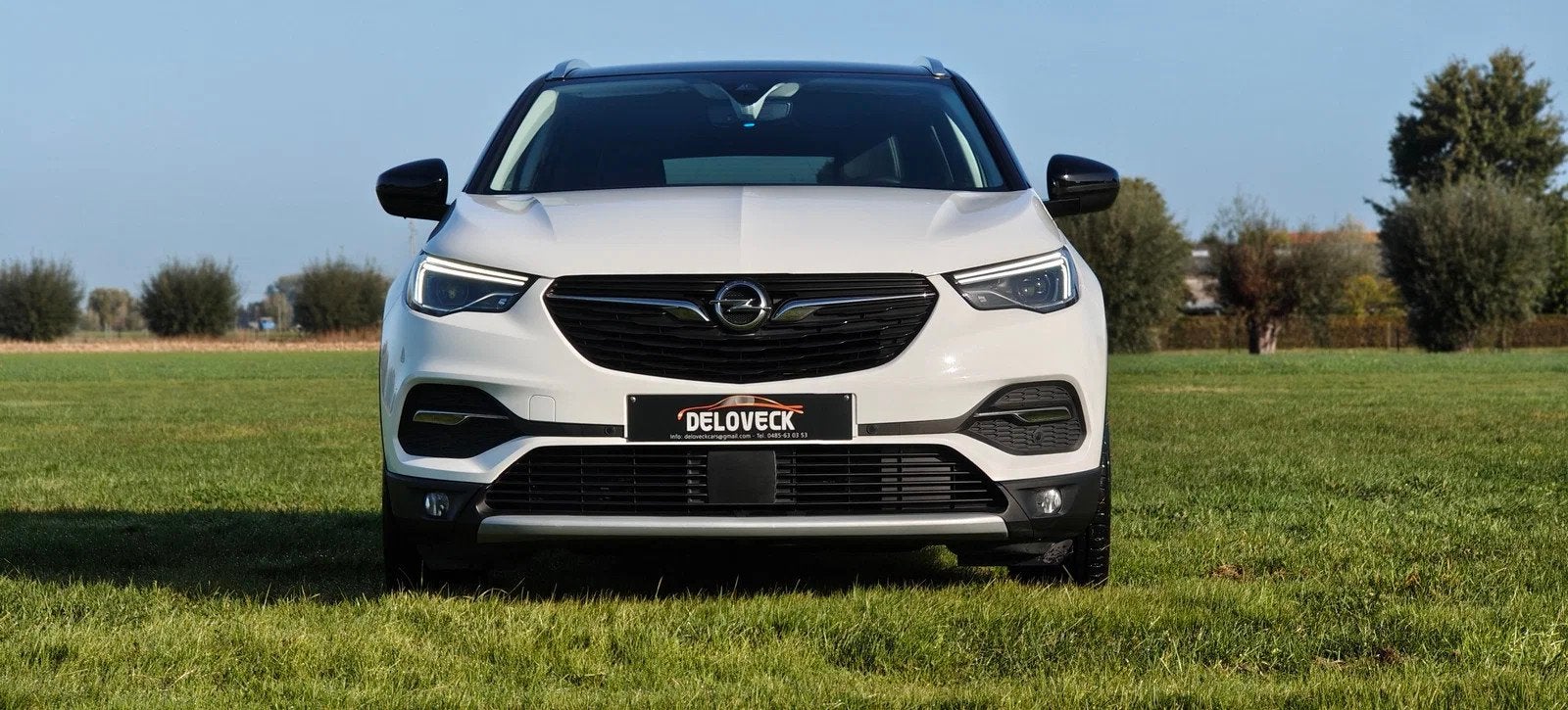 Opel Grandland X Plug in Hybride 4x4 Innovation (bj 2020), Auto's, Automaat, Gebruikt, Wit, Bedrijf