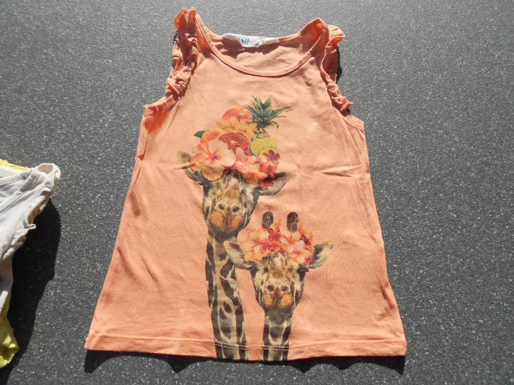 topje H&M mt 98/104, Kinderen en Baby's, Kinderkleding | Maat 98, Gebruikt, Meisje, Shirt of Longsleeve, Ophalen of Verzenden