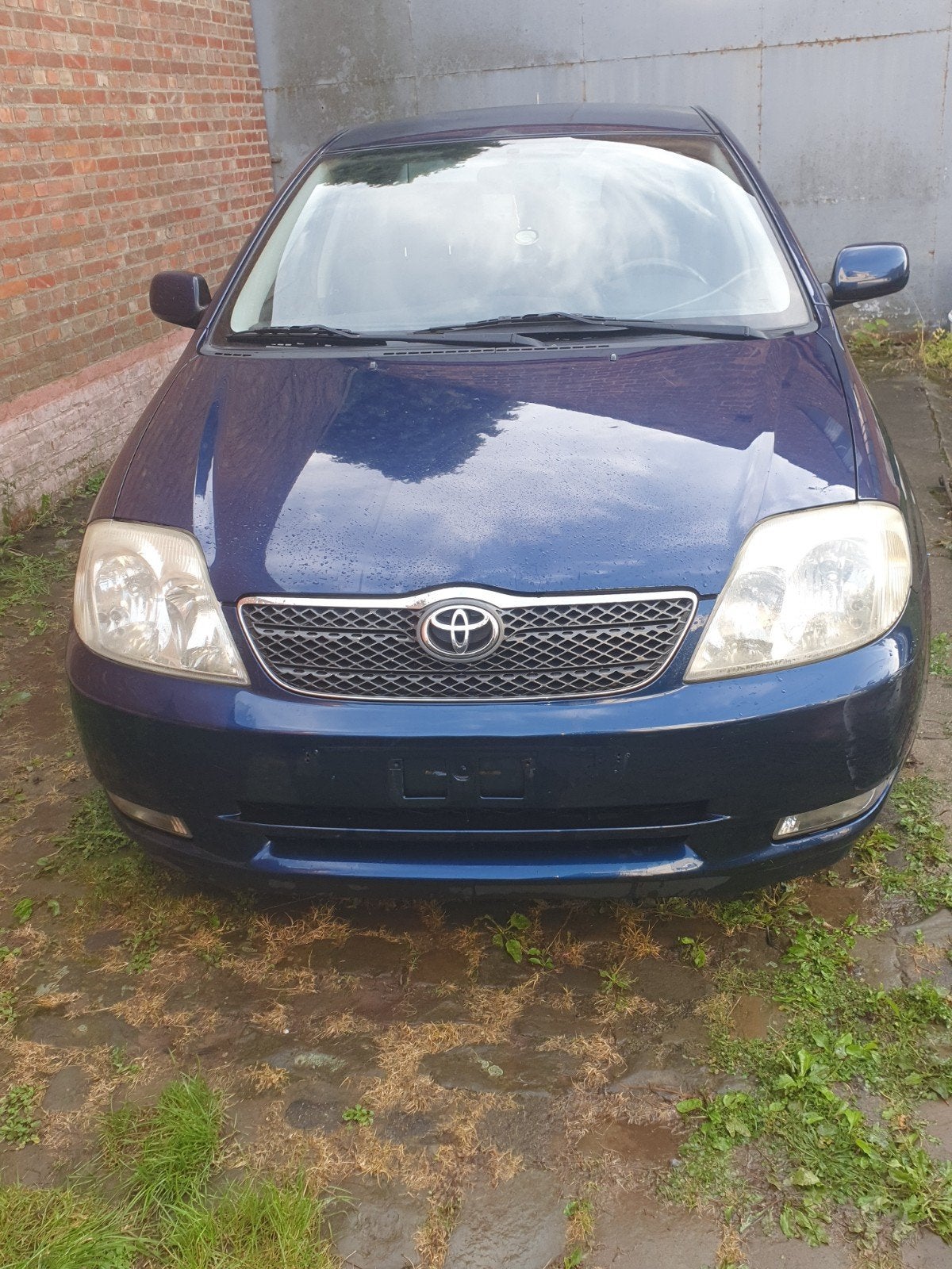 toyota corolla, Autos, Achat, 4 portes, Entreprise, Boîte manuelle