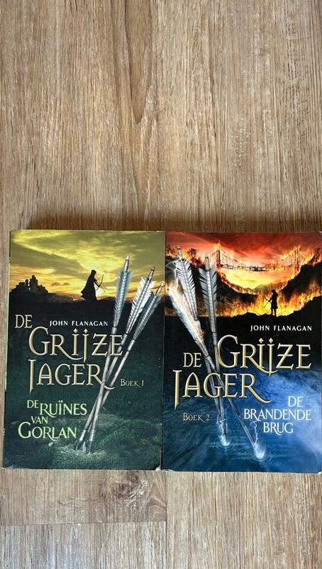 Boek 1,2 De grijze jager, Boeken, Ophalen of Verzenden, Zo goed als nieuw, Fictie