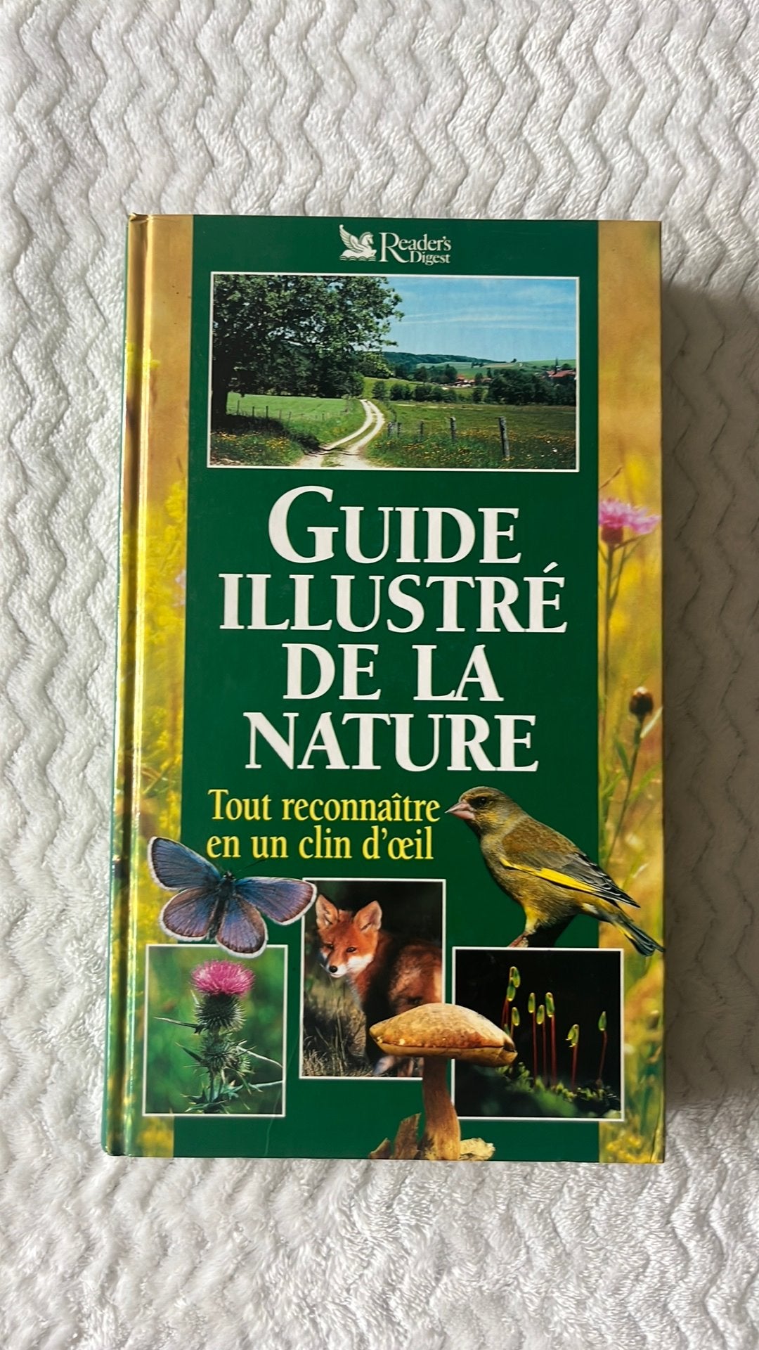 Livre, Livres, Livres d'images & Albums d'images, Enlèvement, Comme neuf