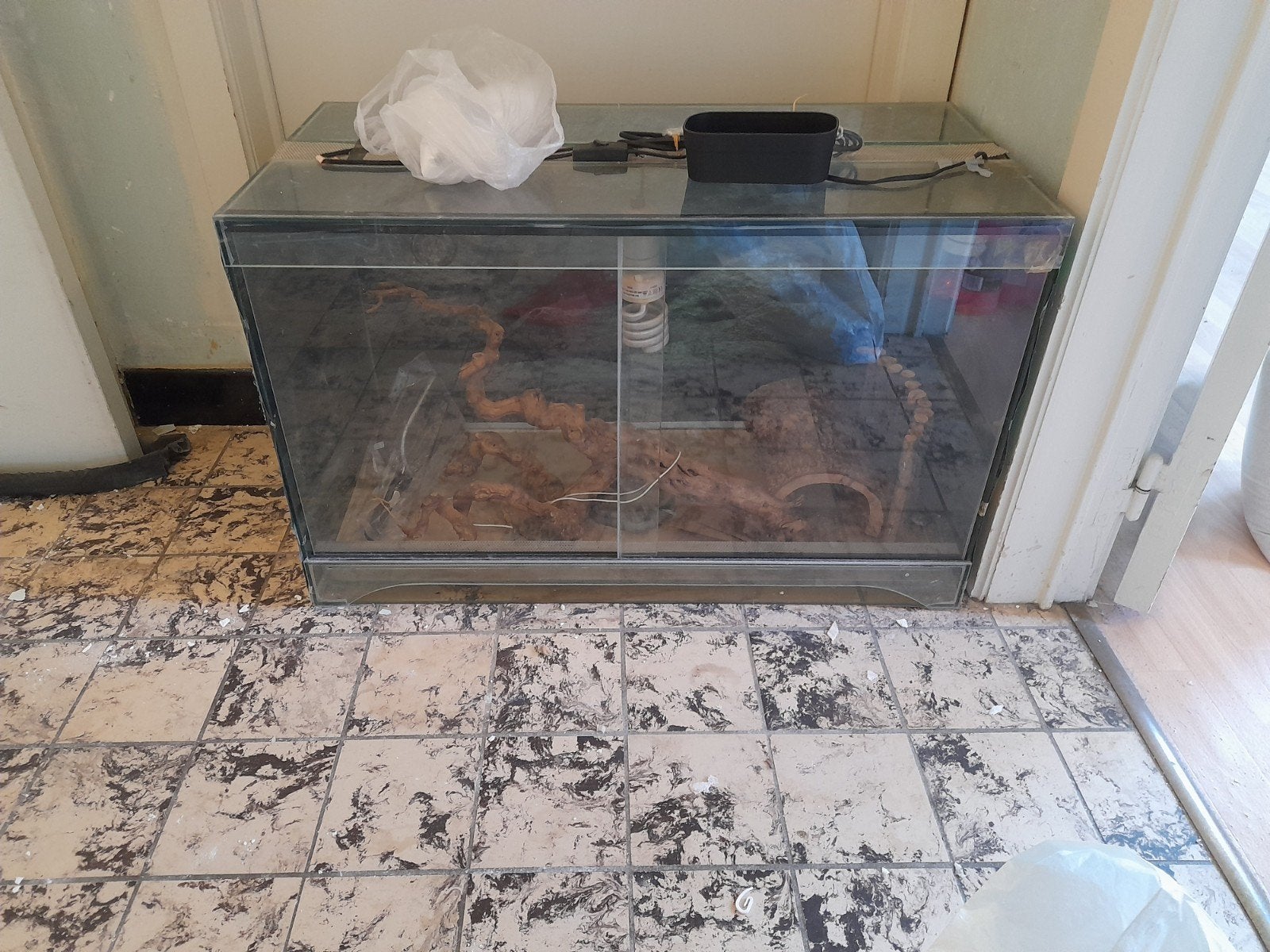 Terrarium a venir chercher aujourd'hui avant 15h., Enlèvement, Utilisé, Branche, Plante, Roche ou Pierre
