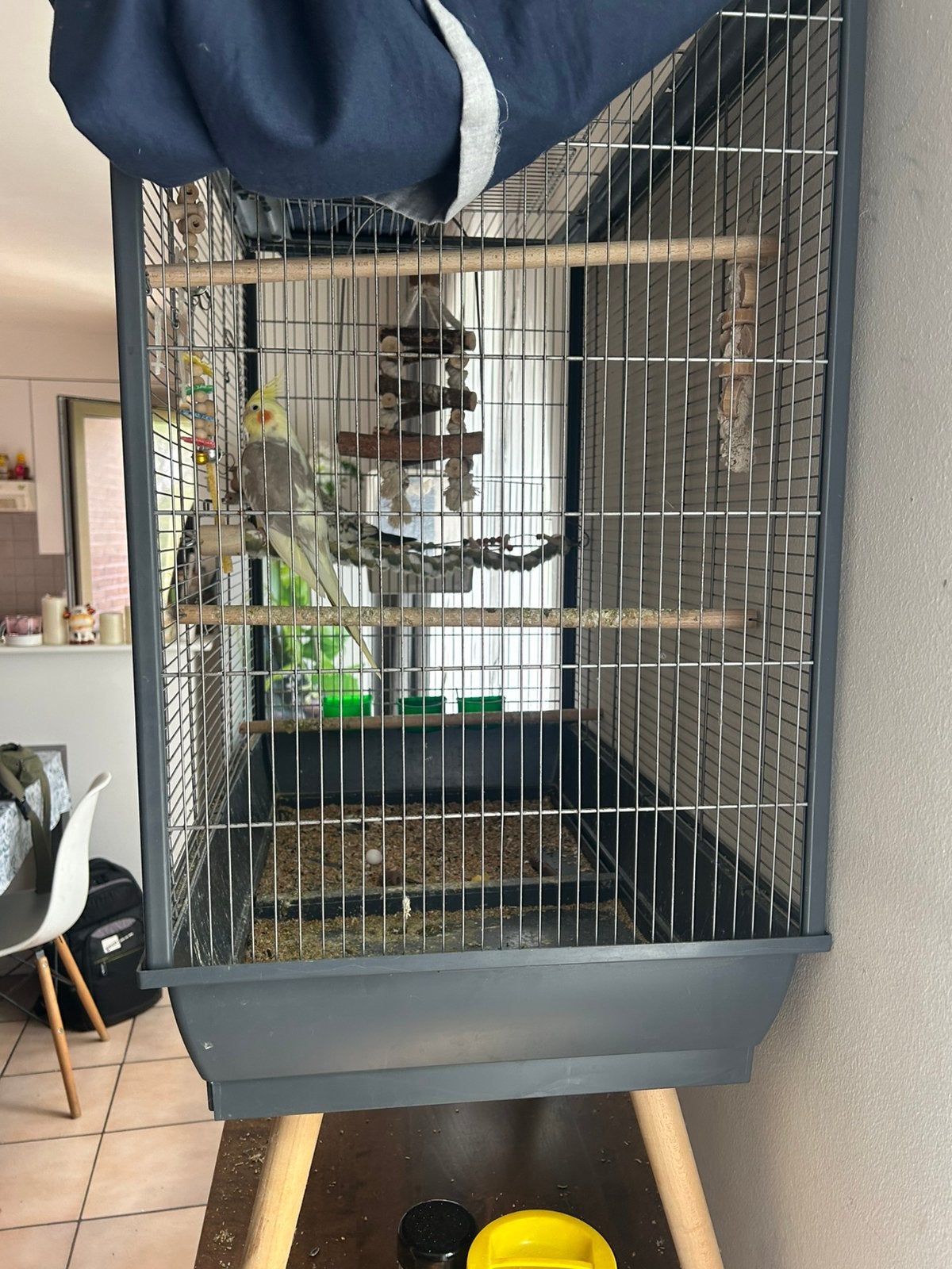 Vogelkooi met vogels, Ophalen, Zo goed als nieuw, Vogelkooi