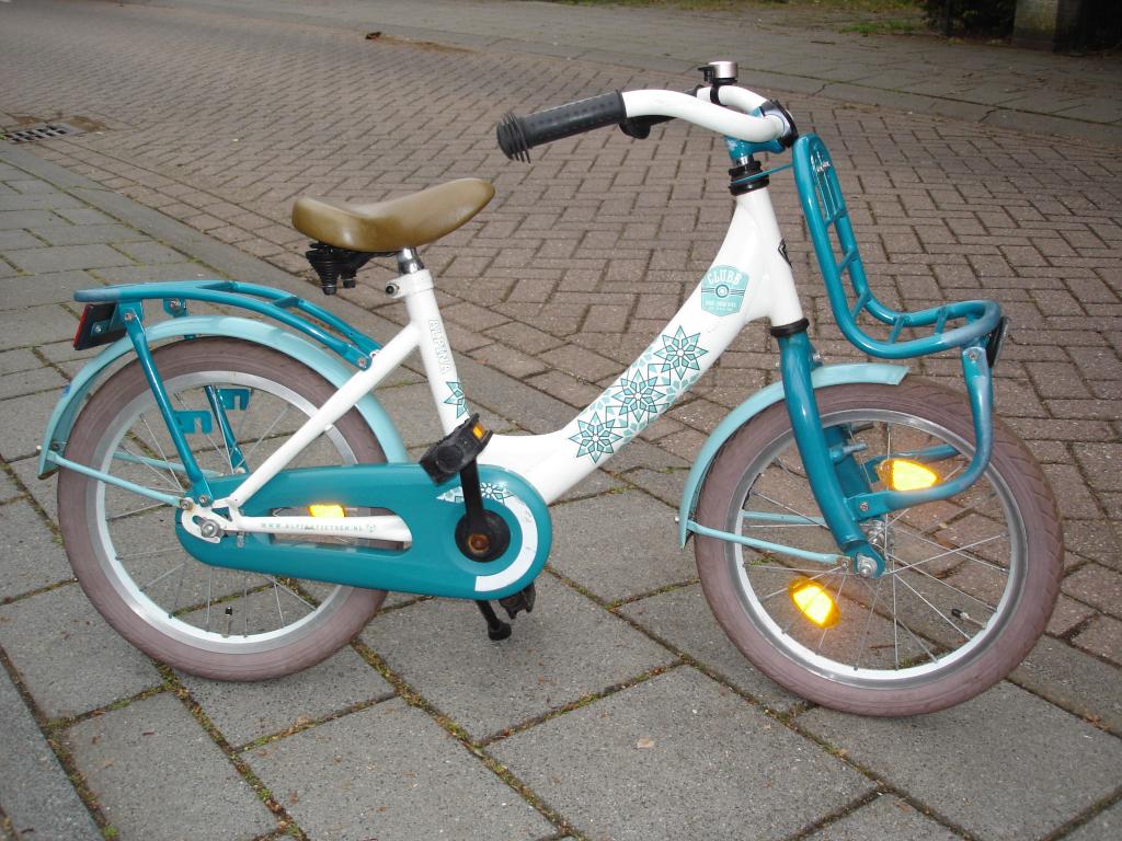Alpina clubb meisjesfiets compleet 16 inch, Fietsen en Brommers, Fietsen | Meisjes, Ophalen, Terugtraprem, Gebruikt, Alpina