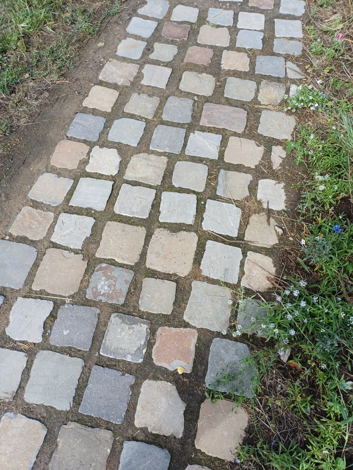 platines, boord kasseien, Enlèvement