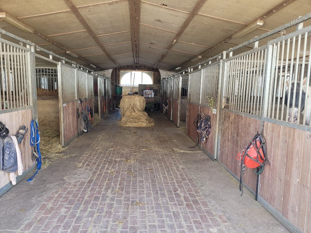 2 boxes se libèrent dans notre écurie..., Animaux & Accessoires, 4 chevaux ou poneys ou plus