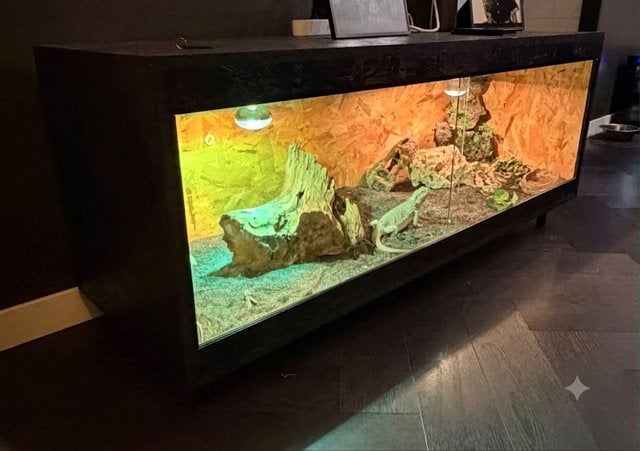OSB3 terrarium op maat, Animaux & Accessoires, Enlèvement, Neuf