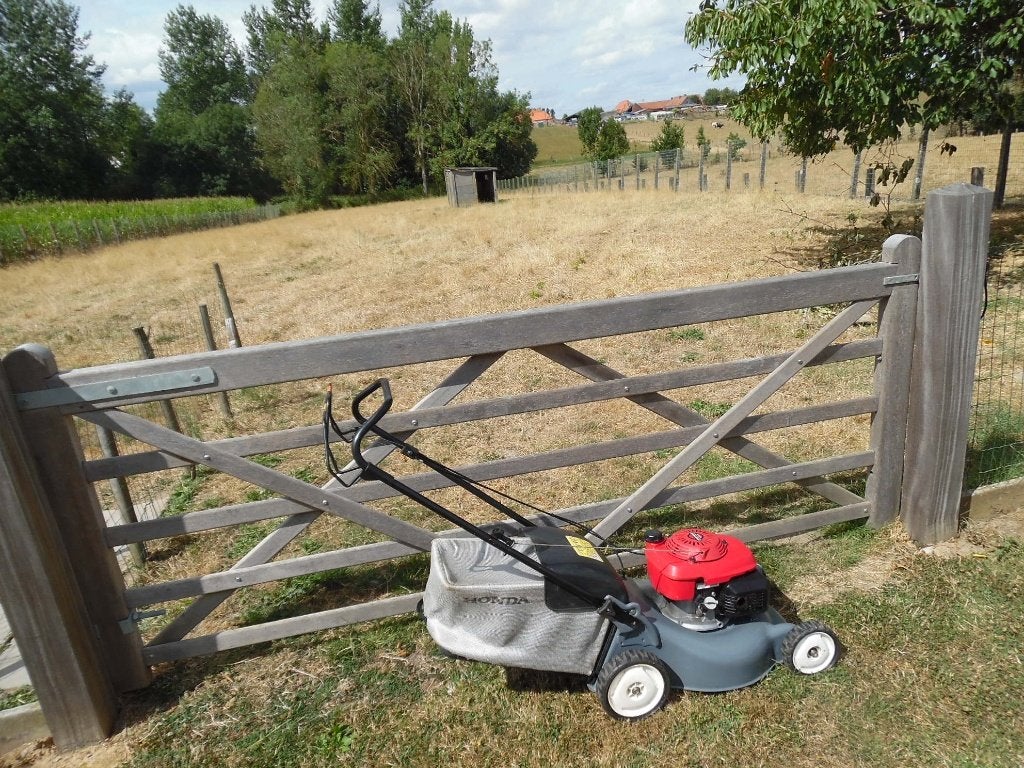 Honda Izy, Honda, Tondeuse rotative, Fonction de mulching, Tondeuses à gazon à essence