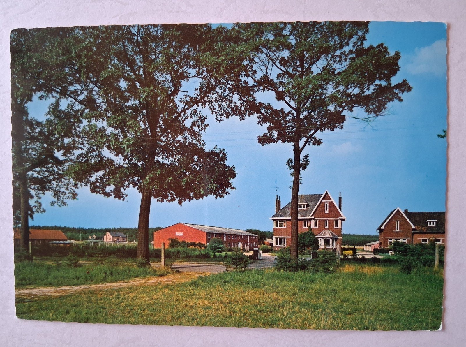 postkaart Jeugdheem Hoffbauwer Zutendaal, Verzamelen, Postkaarten | België, Ophalen of Verzenden