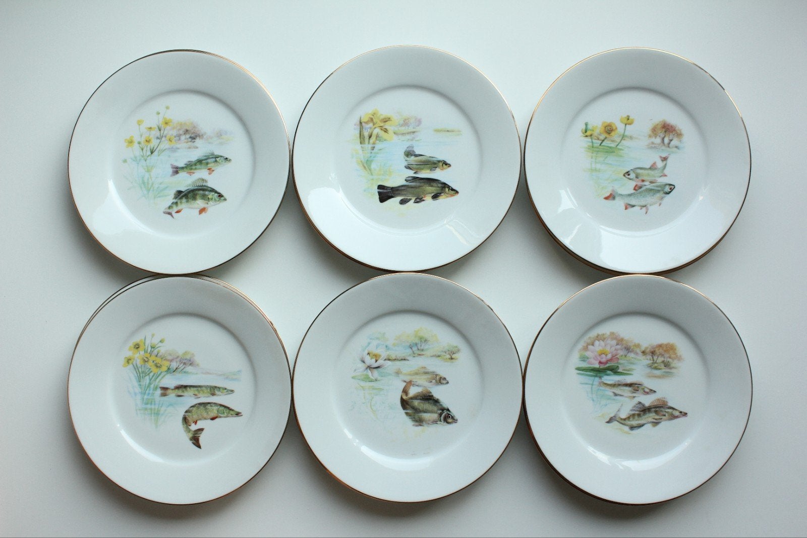 Assiettes en porcelaine de Limoges vintage, motif poisson, Enlèvement