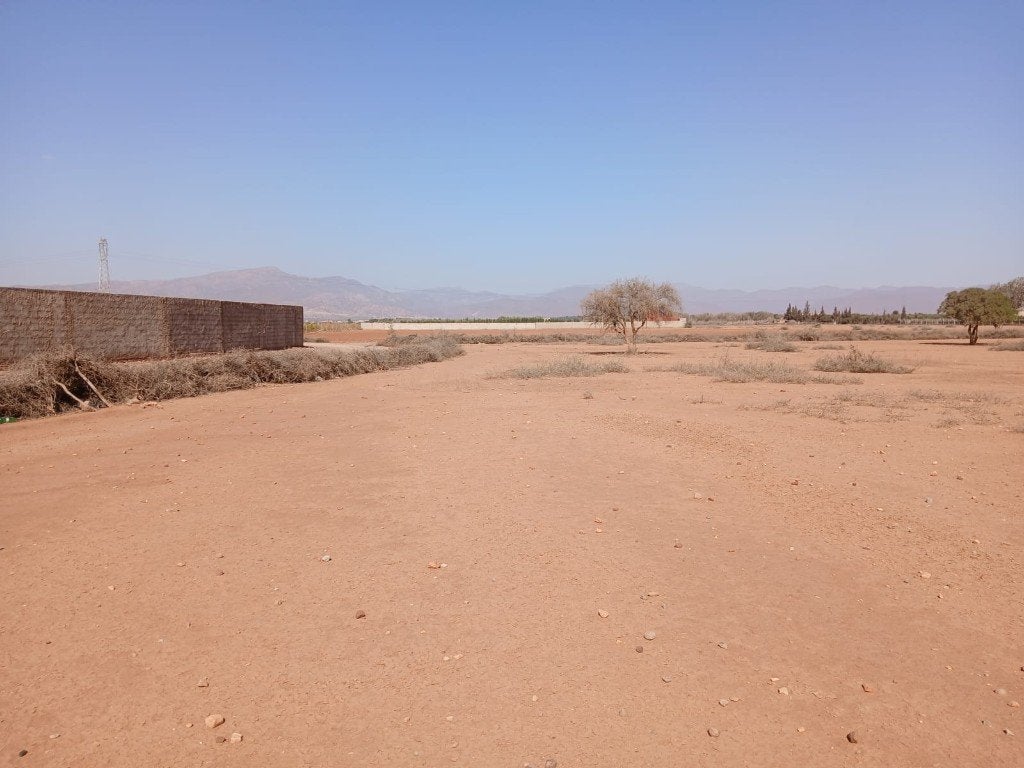 Terrain de 5000 m caré constructible région d agadir Maroc, Immo, Étranger, Ville