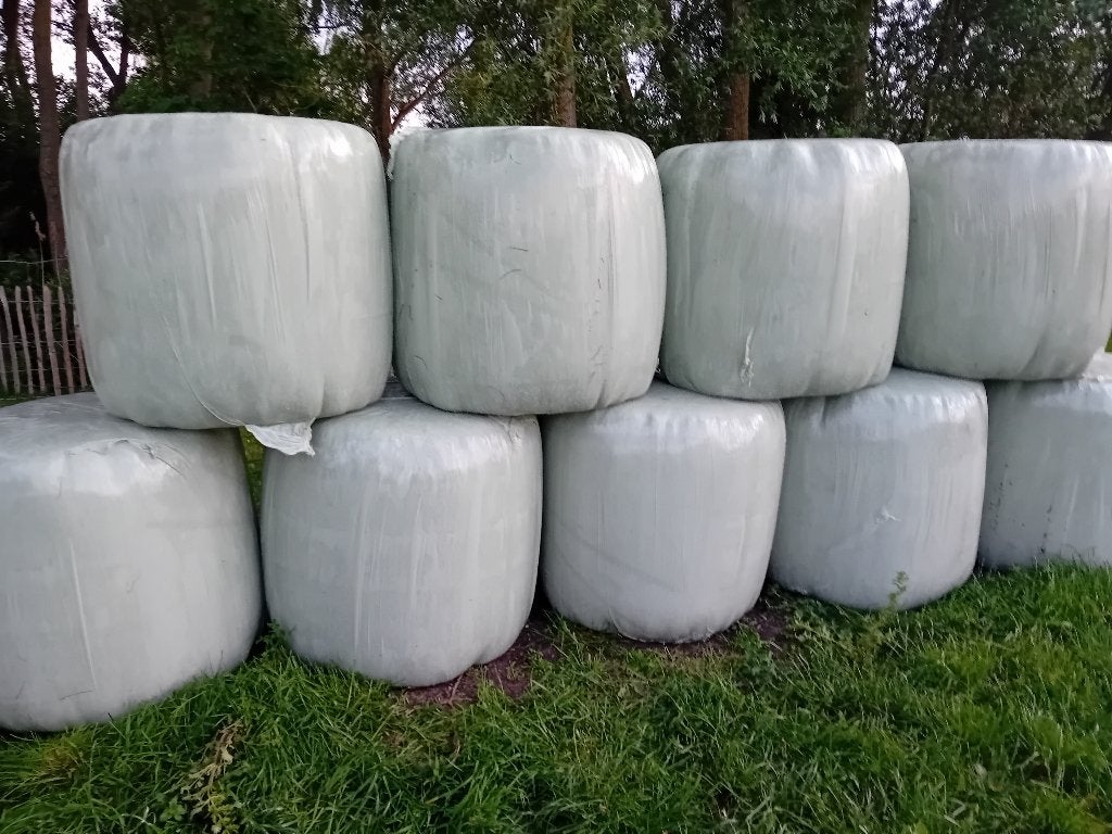 Midi balen, Dieren en Toebehoren, Dierenvoeding, Vee, Ophalen