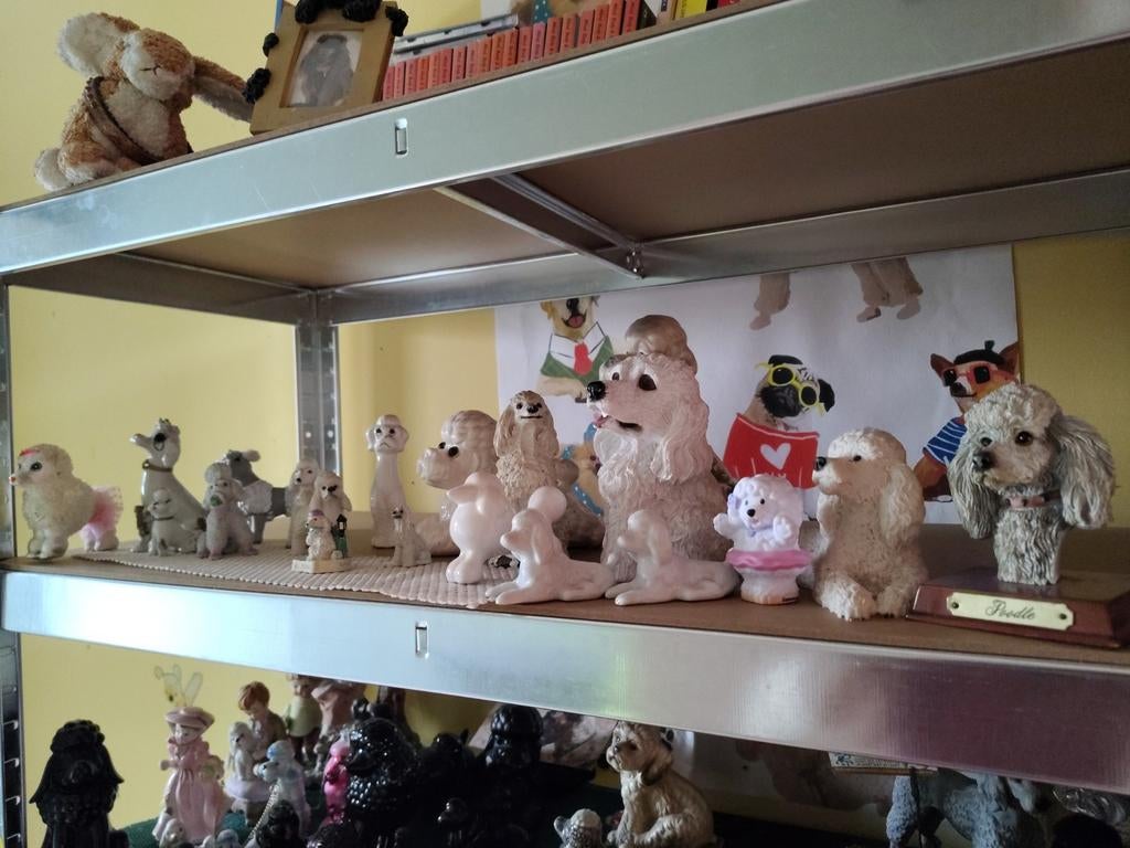 Witte Poedel beeldjes, Tickets en Kaartjes