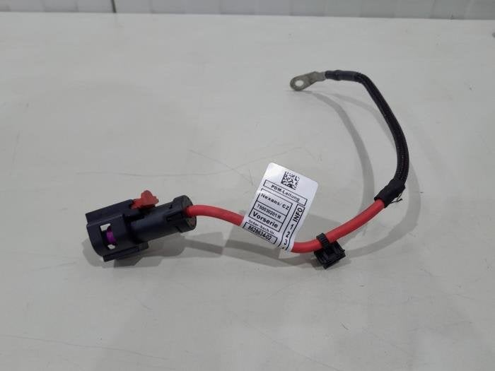 Borne de batterie d'un BMW 2-Serie, Autos : Pièces & Accessoires, Batteries & Accessoires, BMW, Utilisé, 3 mois de garantie, Enlèvement ou Envoi