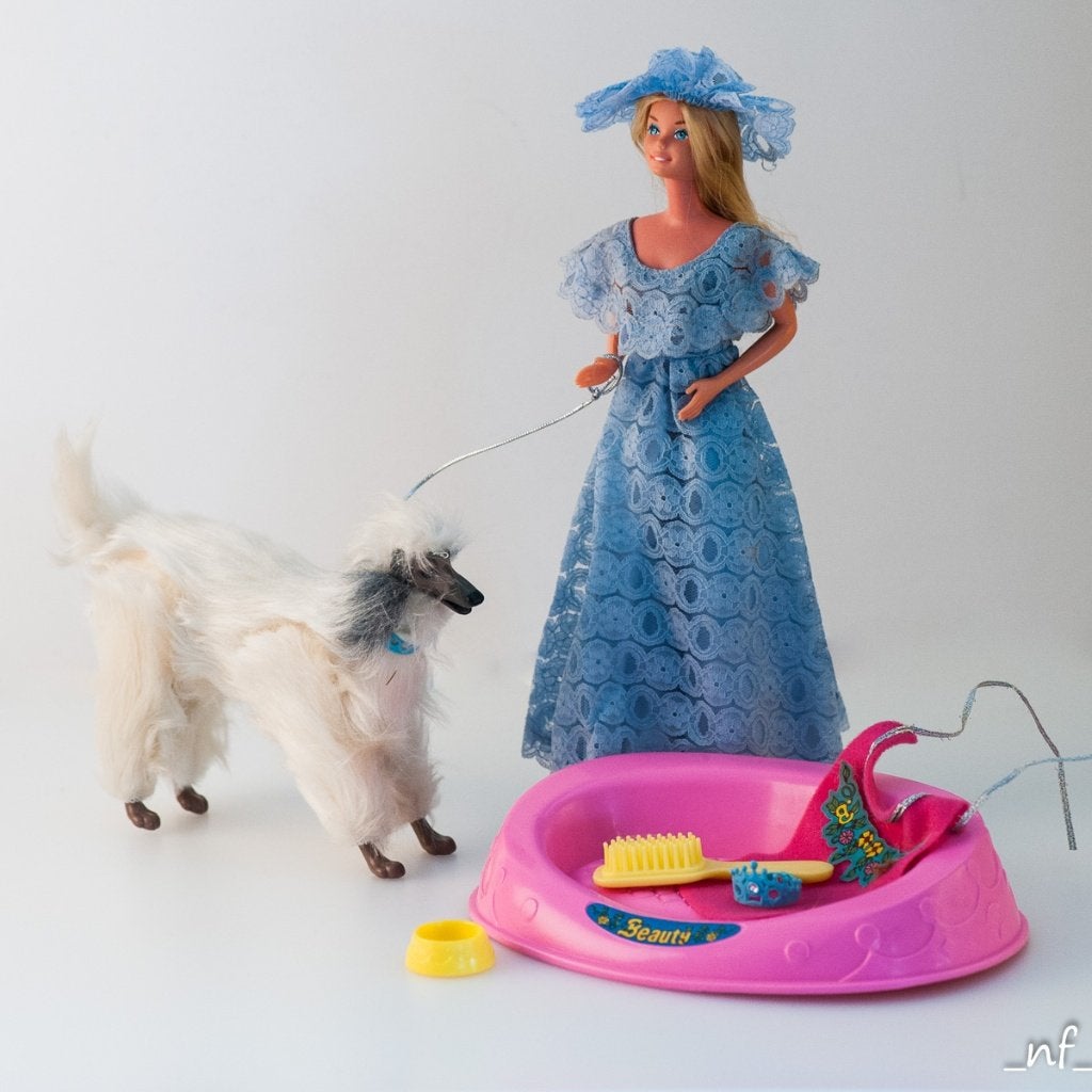 Barbie met Beauty, Enlèvement ou Envoi, Utilisé, Barbie