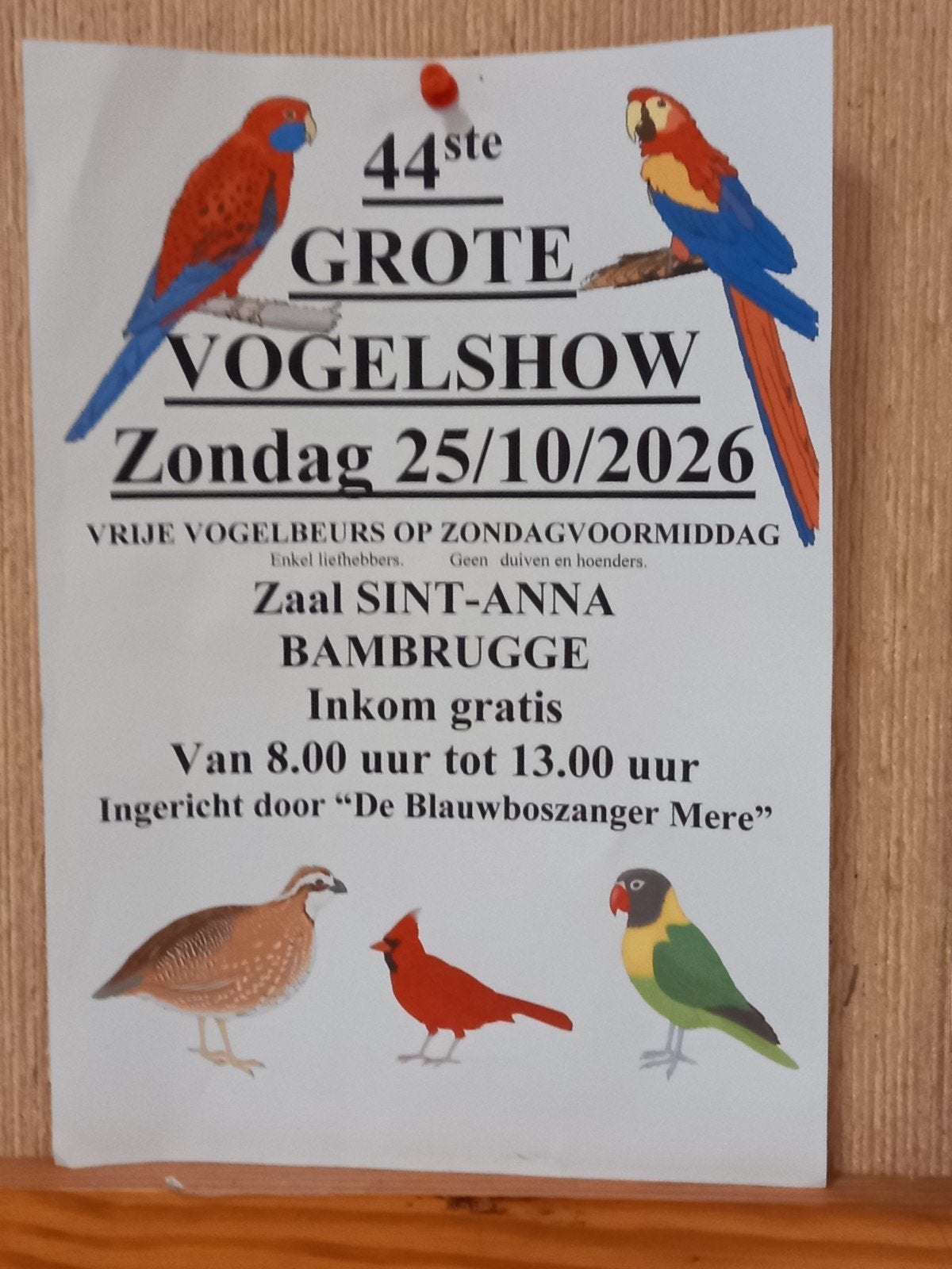 op Zondag voormiddag 25/10/26 Vrije vogelbeurs