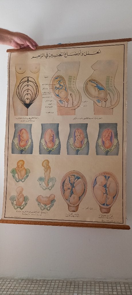 decoratie, Vintage, Enlèvement, Utilisé, Multicolore