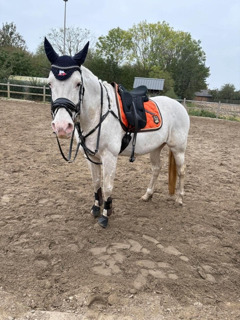 Wintec endurance, Ophalen, Gebruikt