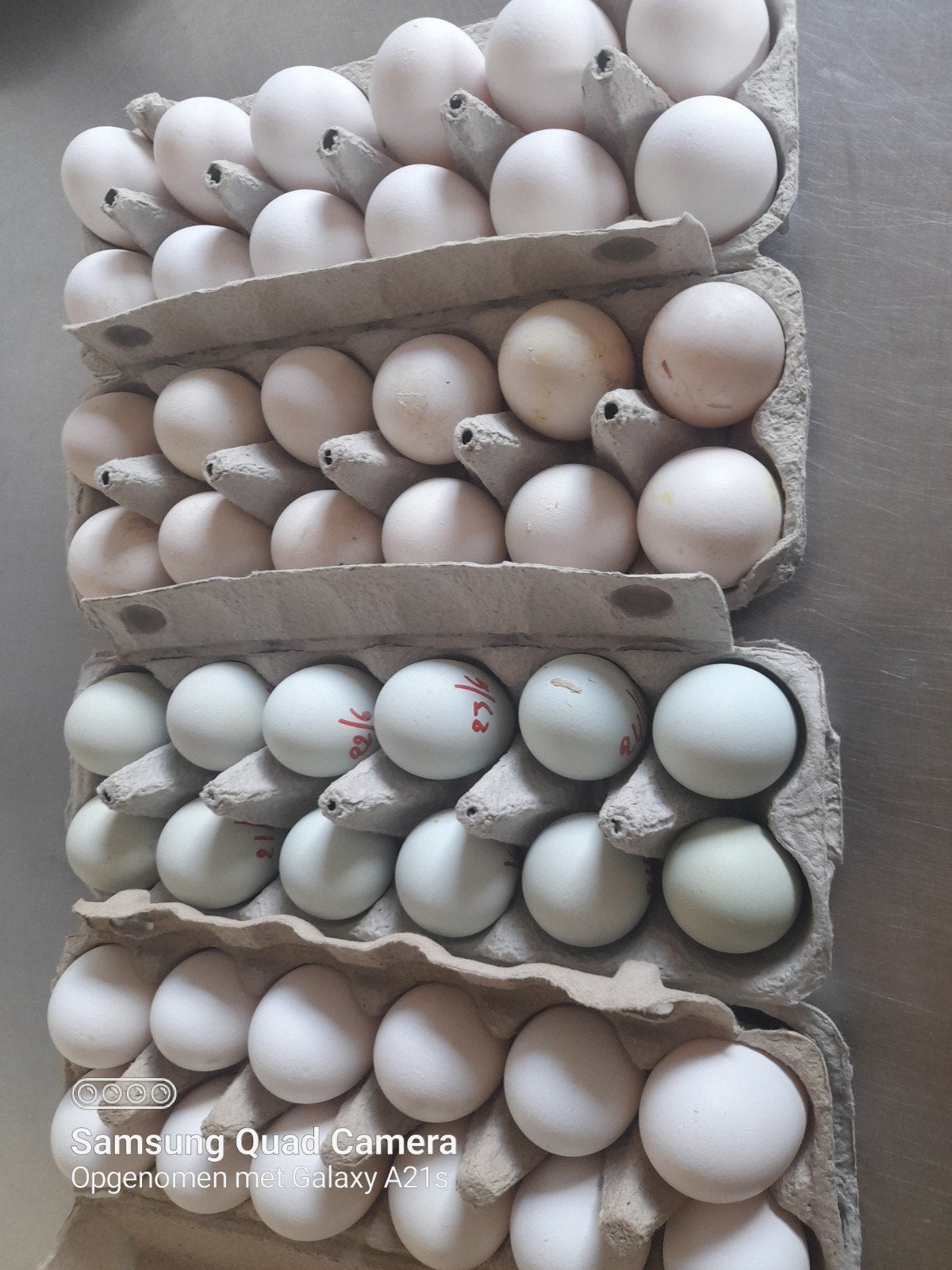 Œufs de poule biologiques frais +, Enlèvement