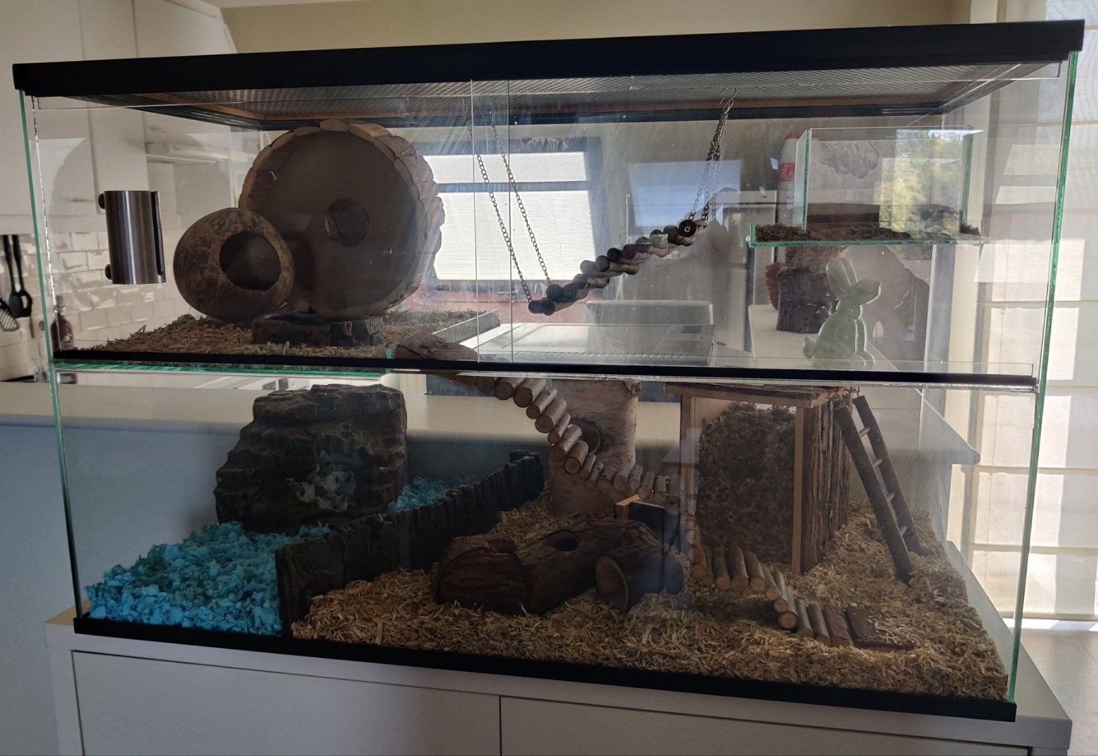 Terrarium gerbil/hamster 🐹 Compleet met inrichting!, Dieren en Toebehoren, Ophalen