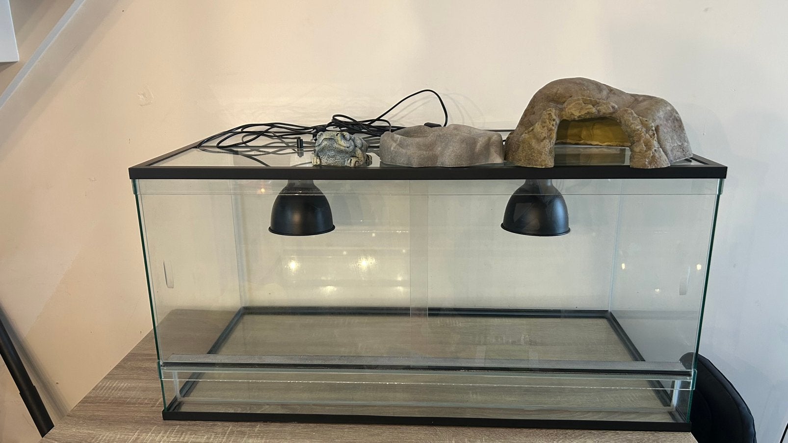 Terrarium, Ophalen, Gebruikt, Terrarium of Paludarium