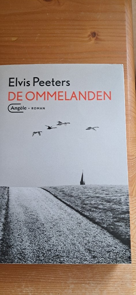 Boek literatuur roman ´ De ommelanden ´, Boeken, Ophalen, België, Nieuw, Elvis Peeters