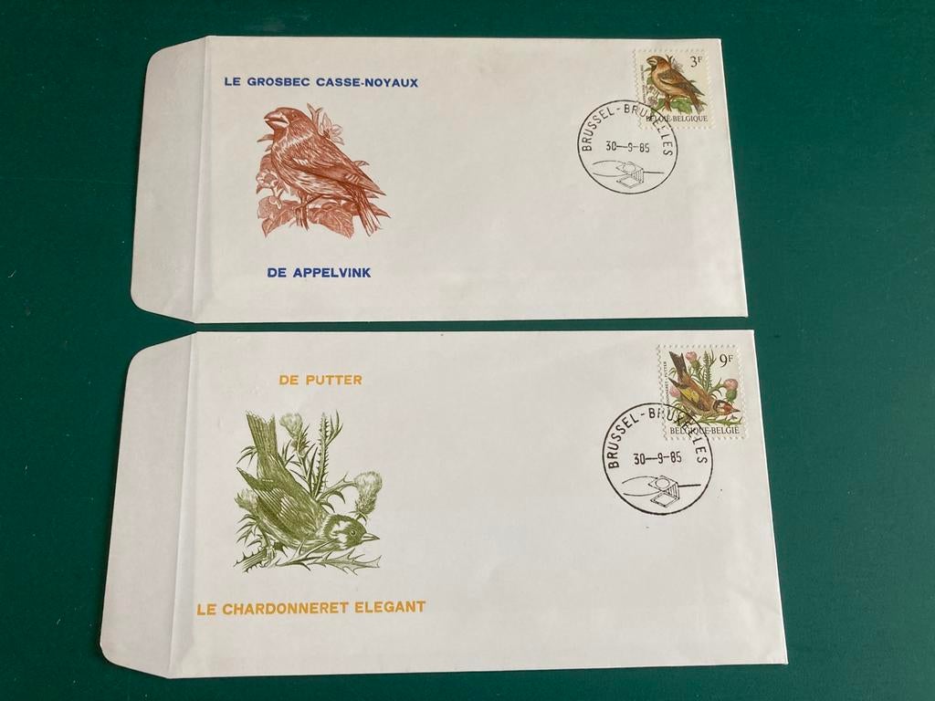 2 oiseaux du FDC Belgique, Enlèvement ou Envoi