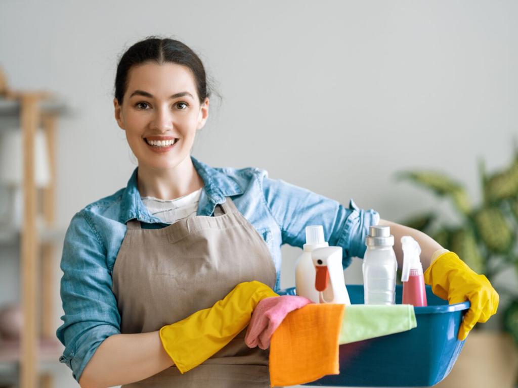 Femme de menage, Offres d'emploi
