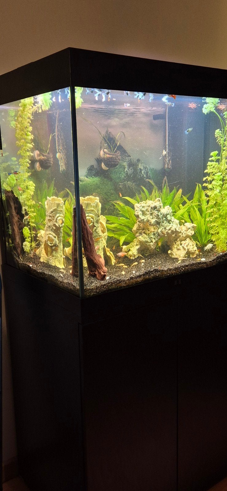 aquarium JUWEL 200L met kast, Dieren en Toebehoren, Ophalen, Filter, Juwel