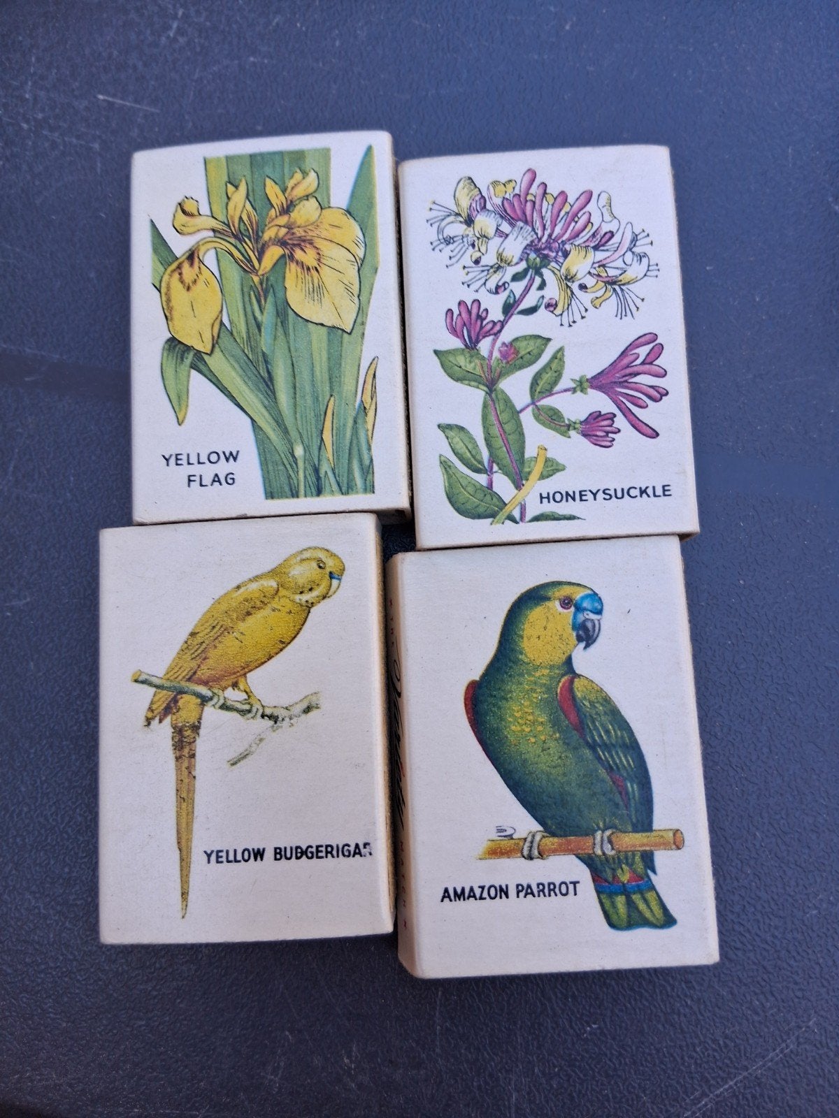 boîtes d'allumettes, Enlèvement