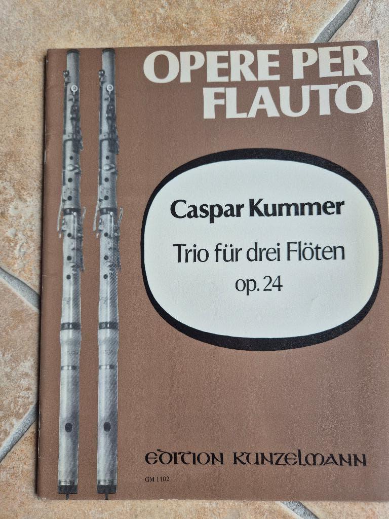 Bladmuziek 3 of meer fluiten/altblokfluiten 9 x, Musique & Instruments, Partitions, Enlèvement ou Envoi, Comme neuf, Autres instruments