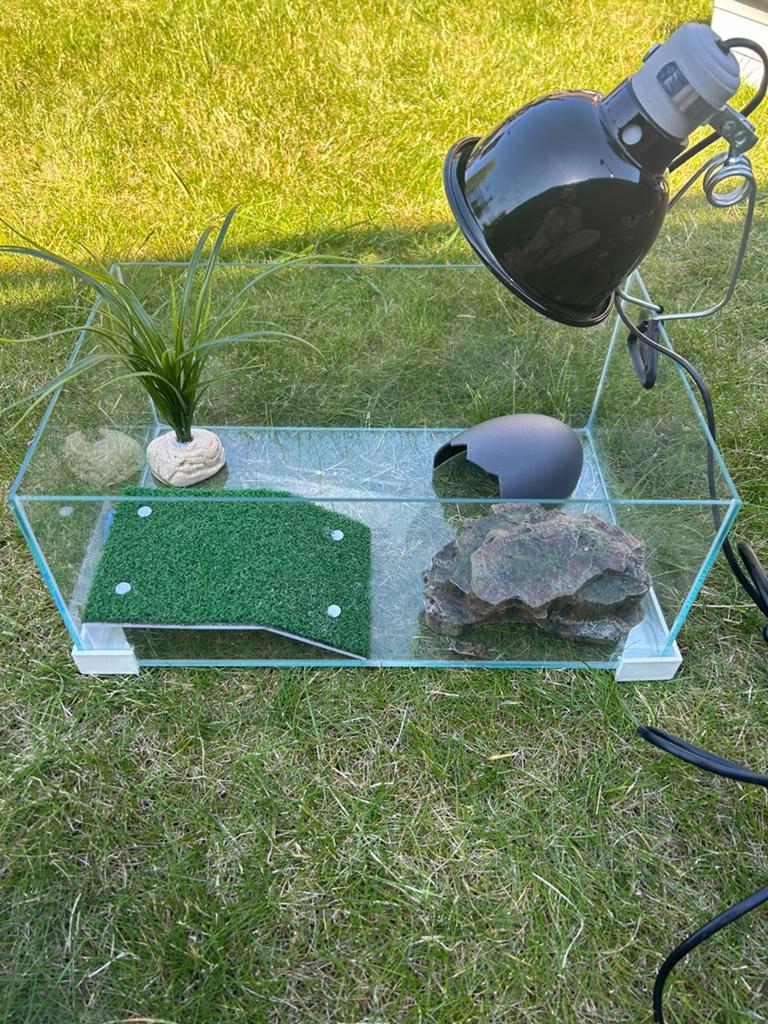 Waterschildpadden Aquarium, Dieren en Toebehoren, Ophalen, Zo goed als nieuw
