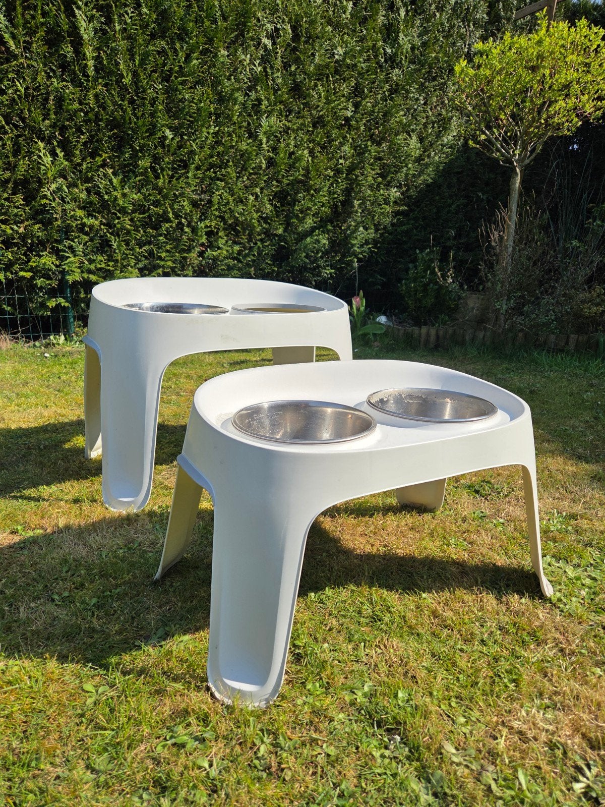 Supports de gamelles, Animaux & Accessoires, Nourriture & Bols pour chiens, Enlèvement