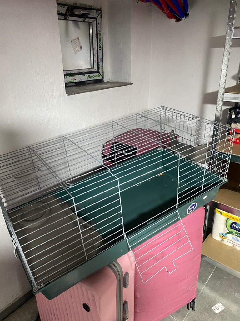 Cage lapin nouveau, Enlèvement, Comme neuf, Cage, Lapin