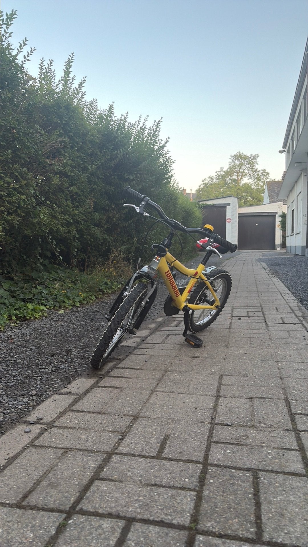 Vélo à vendre Lombardo, Enlèvement ou Envoi, Neuf