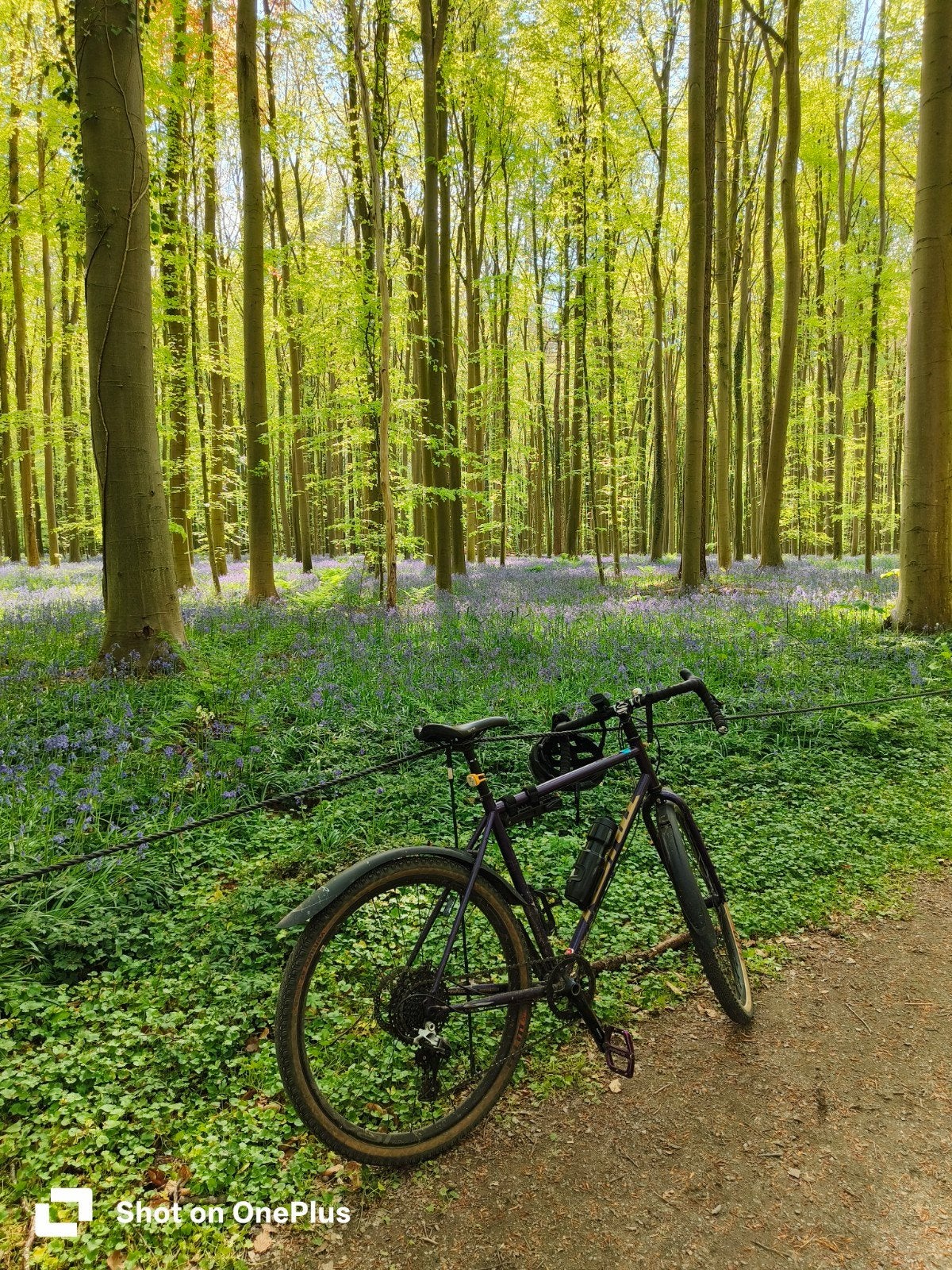 Kona Rove Steel, Ophalen