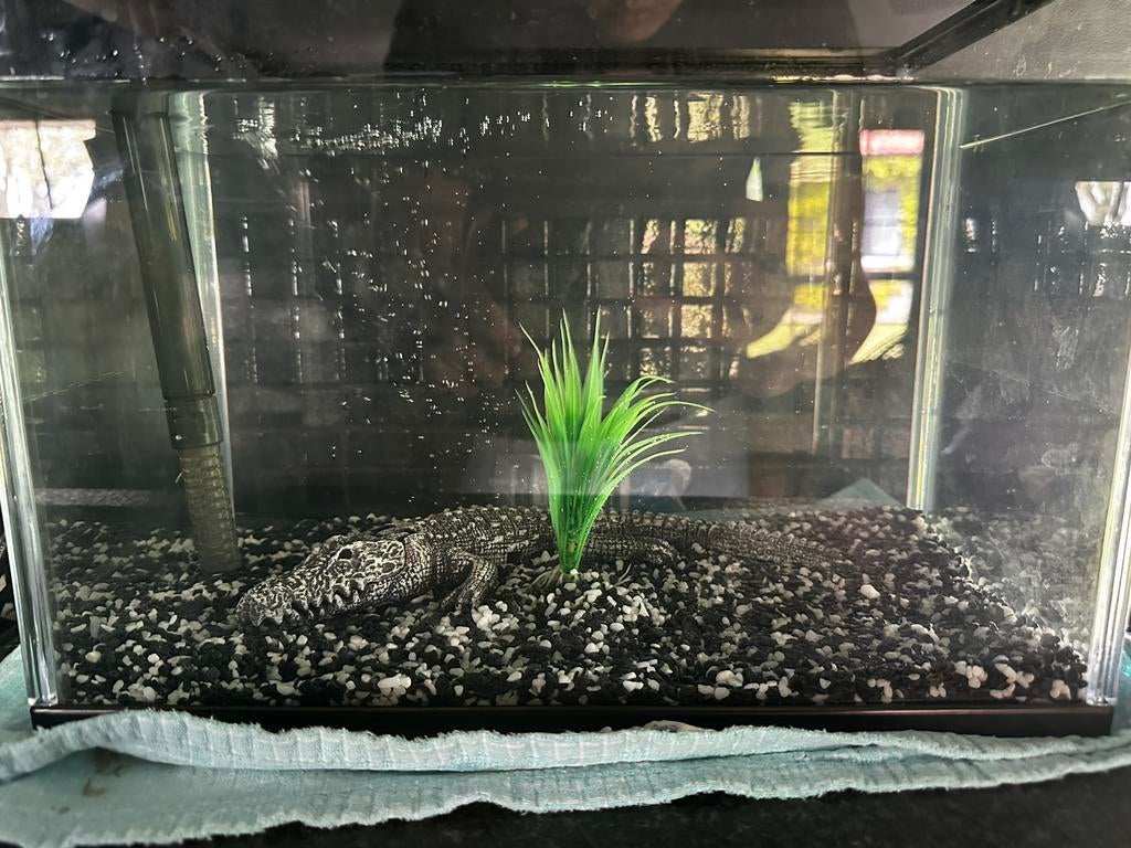 Starter aquarium 20L, Dieren en Toebehoren, Ophalen, Pomp, Zo goed als nieuw, Filter