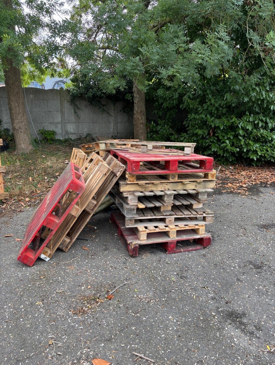 brandhout gratis, Tuin en Terras, Ophalen