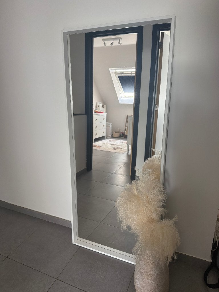 Witte spiegel 65x150cm, Ophalen