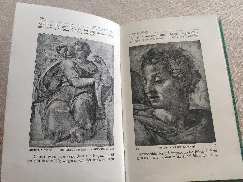 boek: het leven van Michel Angelo + Het complete werk, Ophalen of Verzenden, Gelezen, Schilder- en Tekenkunst