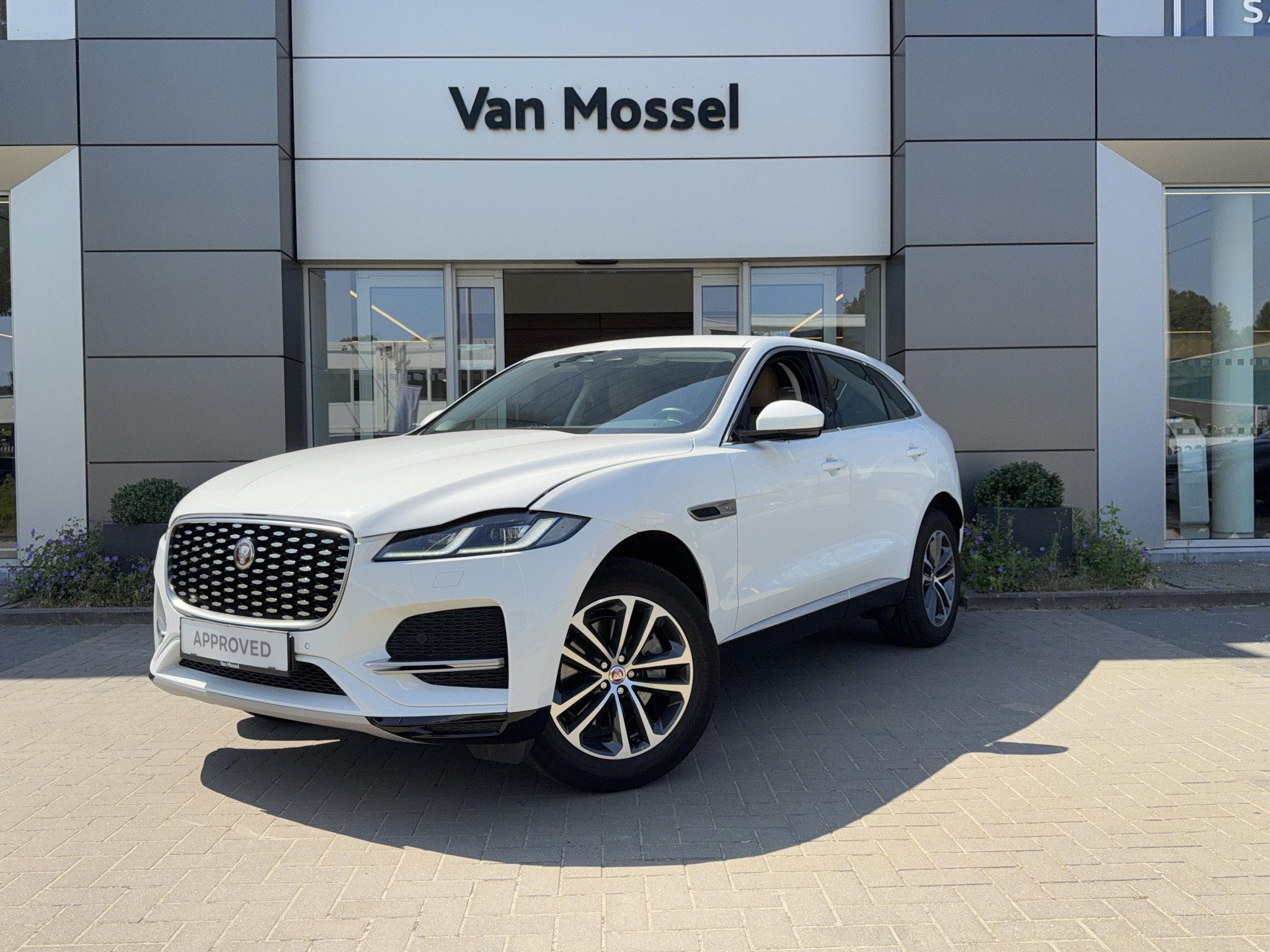 Jaguar F-Pace P250 SE AWD Auto. 22MY (automatique), Euro 6, Entreprise, 5 portes, Automatique