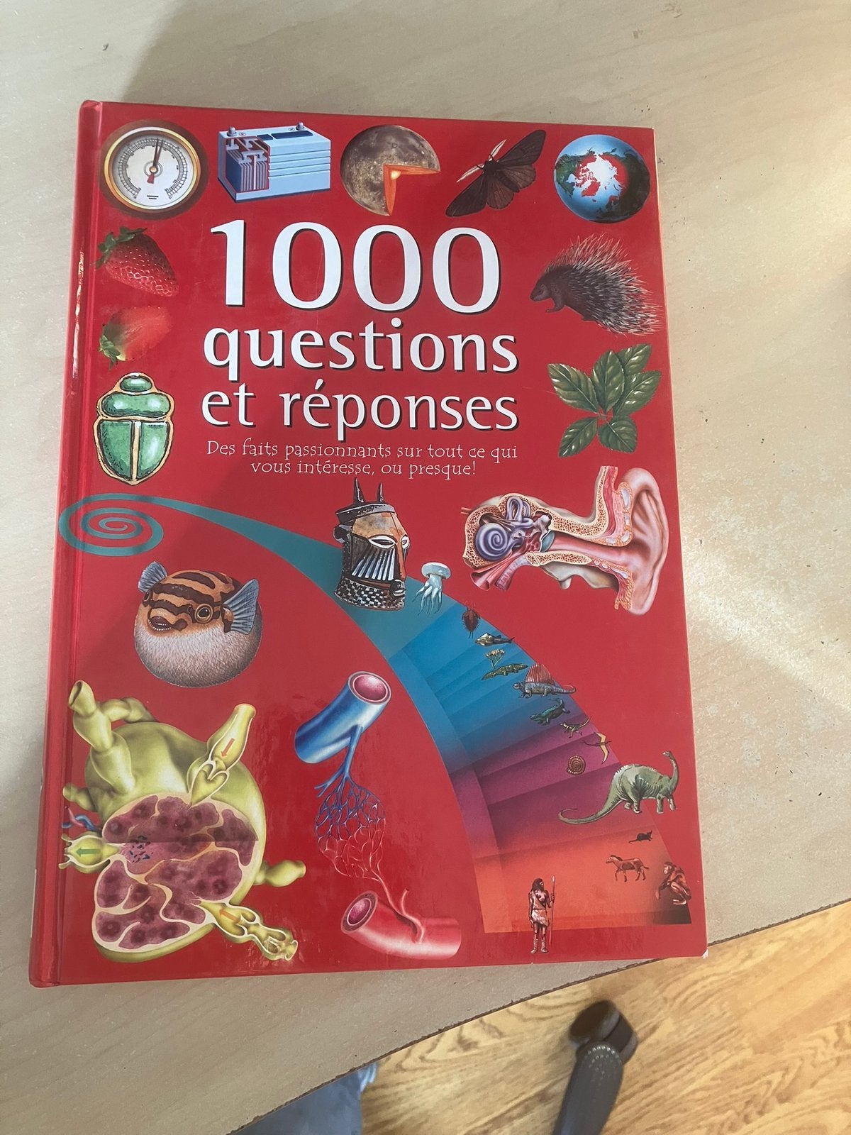 1000 questions et reponses livre pour enfant, Livres, Enlèvement, Comme neuf, Animaux