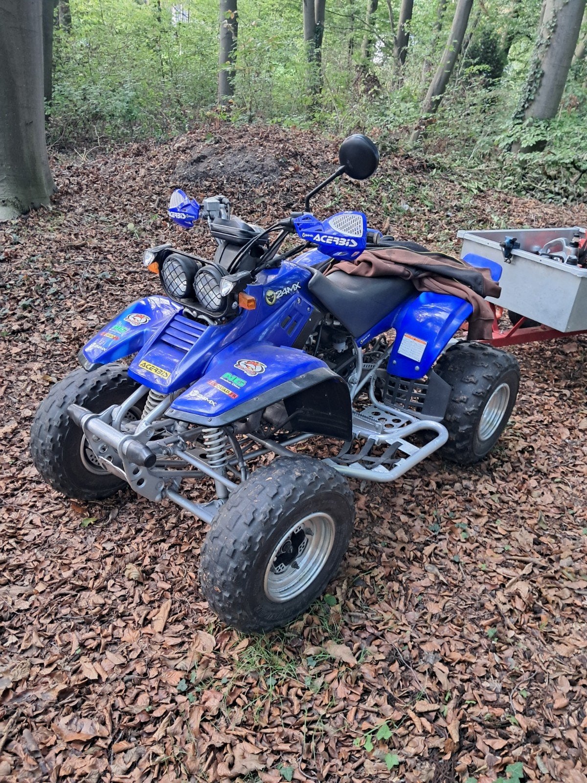quad Yamaha Warrior 350 avec pneus Paper Set inclus, Motos, 350 cm³, 12 à 35 kW, 1 cylindre